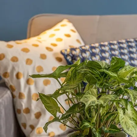 Cozy Overlooking The Park Sofia