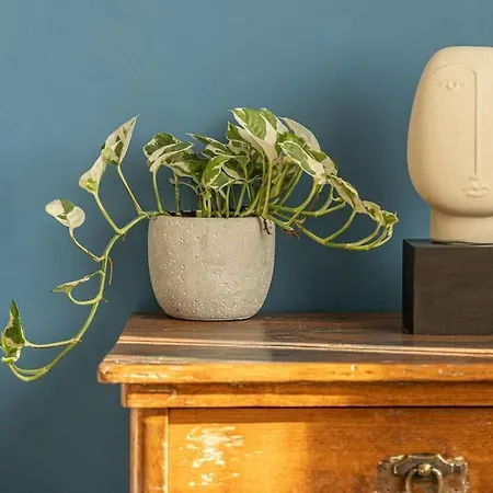 Cozy Overlooking The Park Szófia