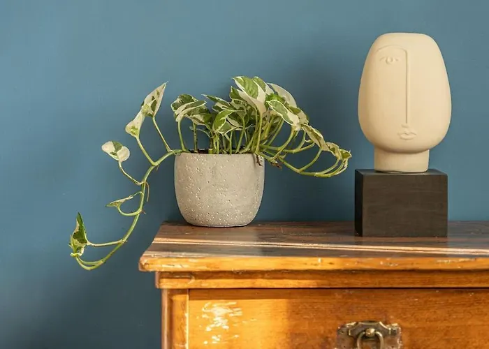 Cozy Overlooking The Park Sofie